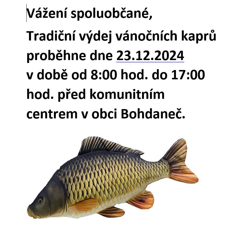 Výdej vánočních kaprů se uskuteční dne 23.12.204 v době od 8:00 hod. do 17:00 hod. před komunitním centrem v Bohdanči.