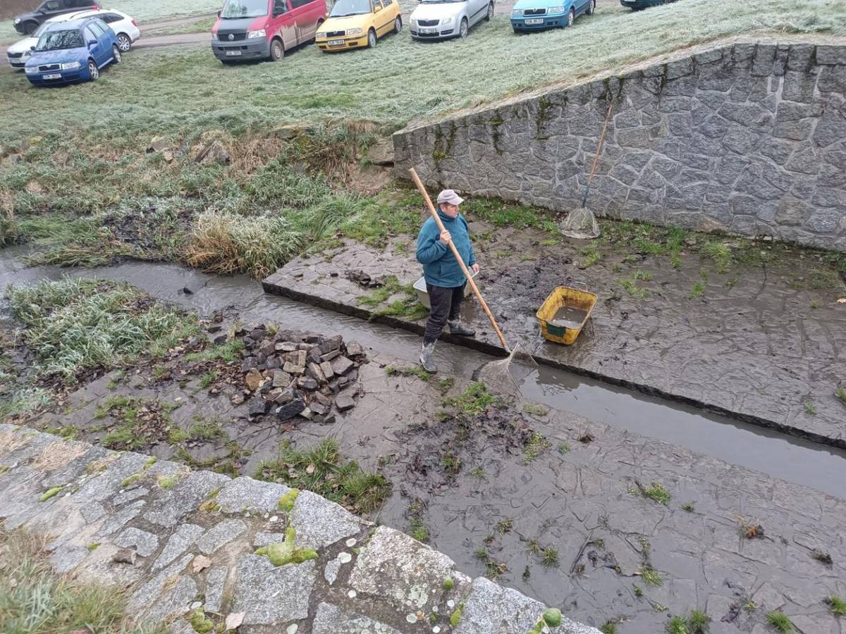 Dolní rybník - 1.12.2024