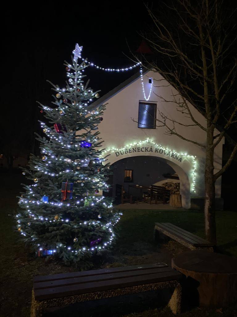 Rozsvícení vánočního stromu v Dubenci