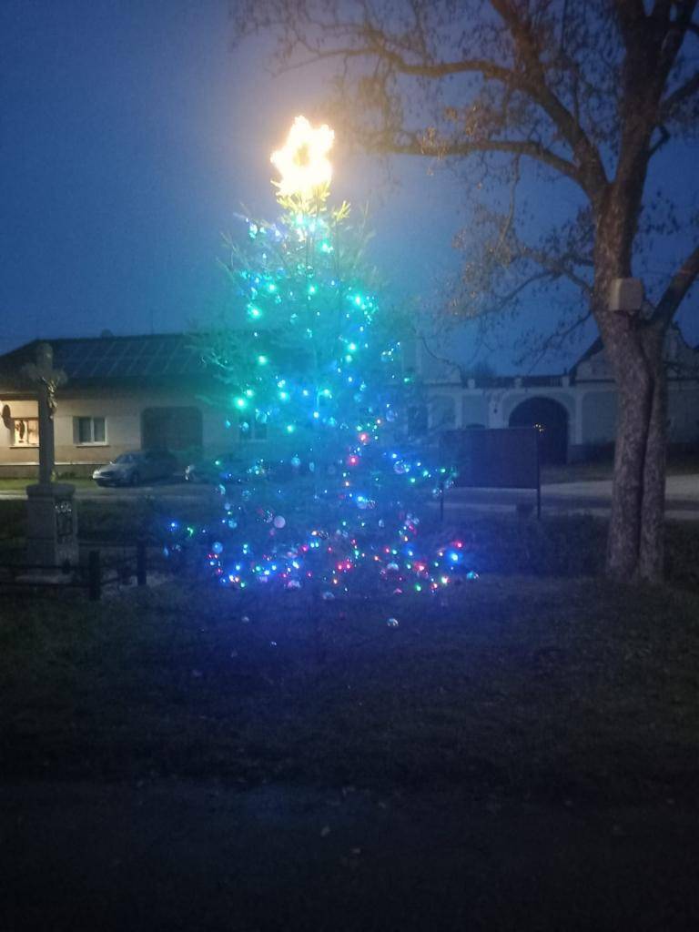 Rozsvícení vánočního stromu v České Lhotě