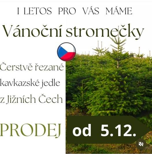 Prodej vánočních stromků Chovatelské a zahrádkářské potřeby Ochoz u Brna