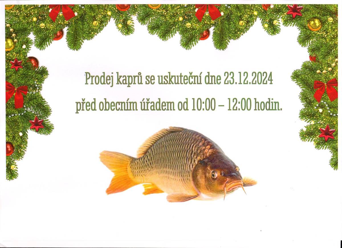 Prodej vánočních kaprů 2024 před obecním úřadem - 23.12.2024 od 10:00 do 12:00 hodin.