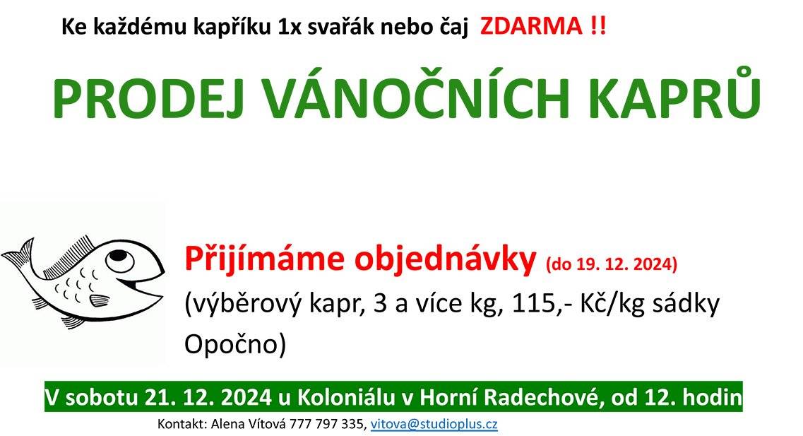 Zde přinášíme aktualizované informace o prodeji Vánočních kaprů 2024 v naši obci. Prodej kaprů se uskuteční v SOBOTU 21.12.2024