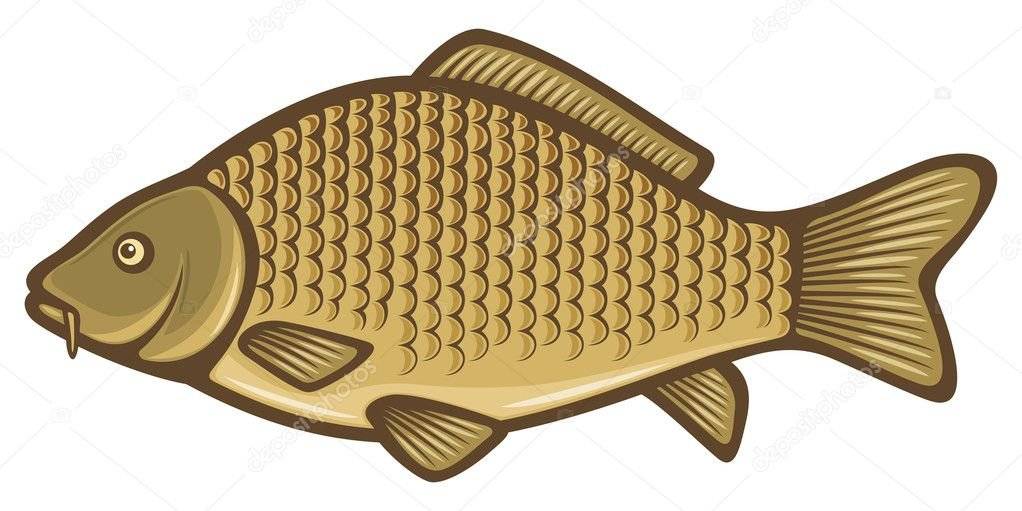 V neděli 22.12.2024 cca od 10 hodin se budou na návsi prodávat ryby. Cena: 150 Kč/kus