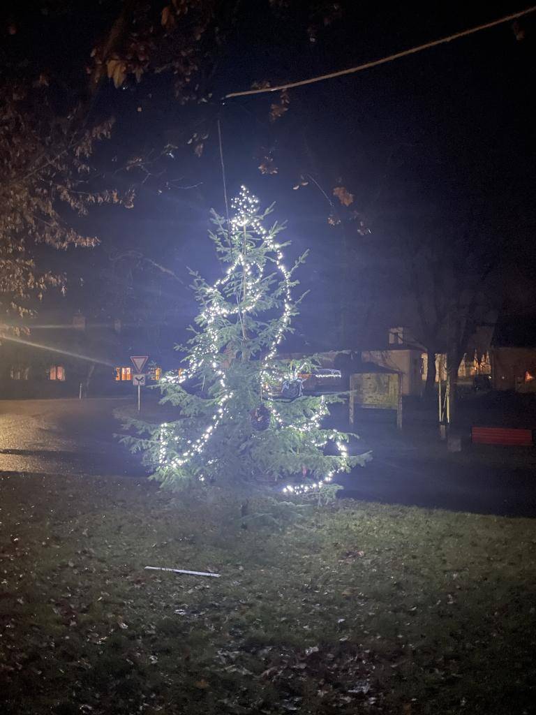 Rozsvícení vánočního stromu Novosedly