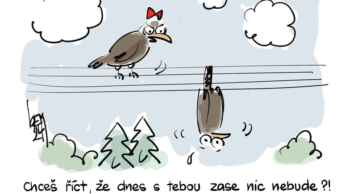 KEMEL: Zase nic nebude?