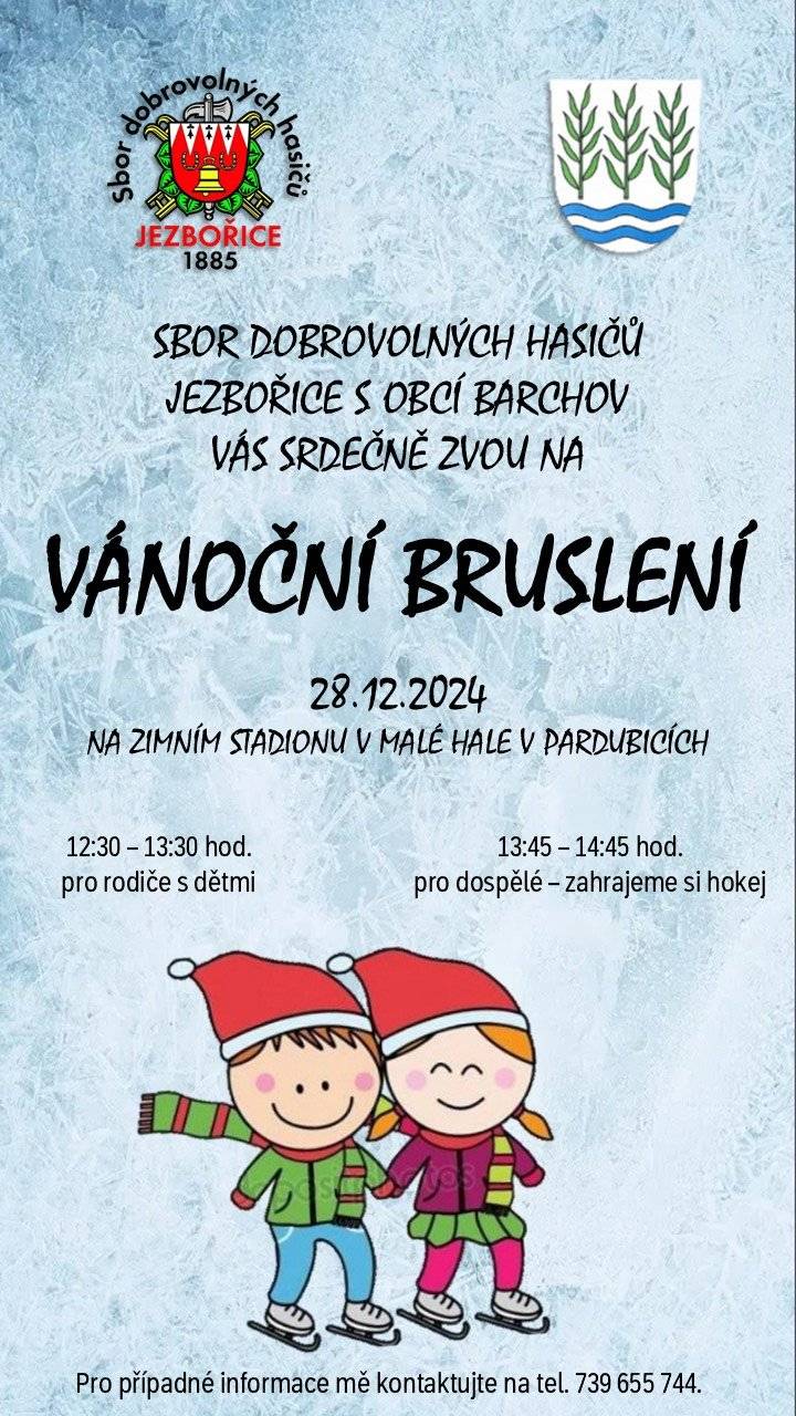 Vánoční bruslení v malé hale v Pardubicích