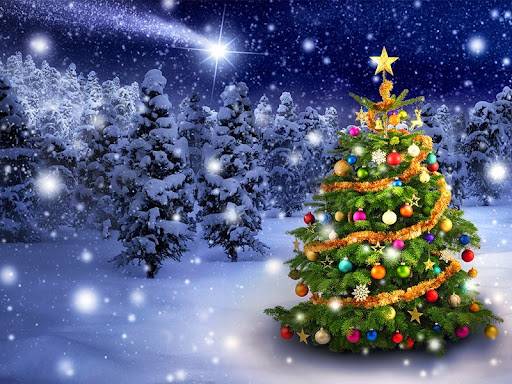 Srdečně Vás zveme na vánoční koncert do Zaloňovského kostela 15.12.2024 v 17 hodin   Vstupné dobrovolné, výtěžek bude věnován dětem.