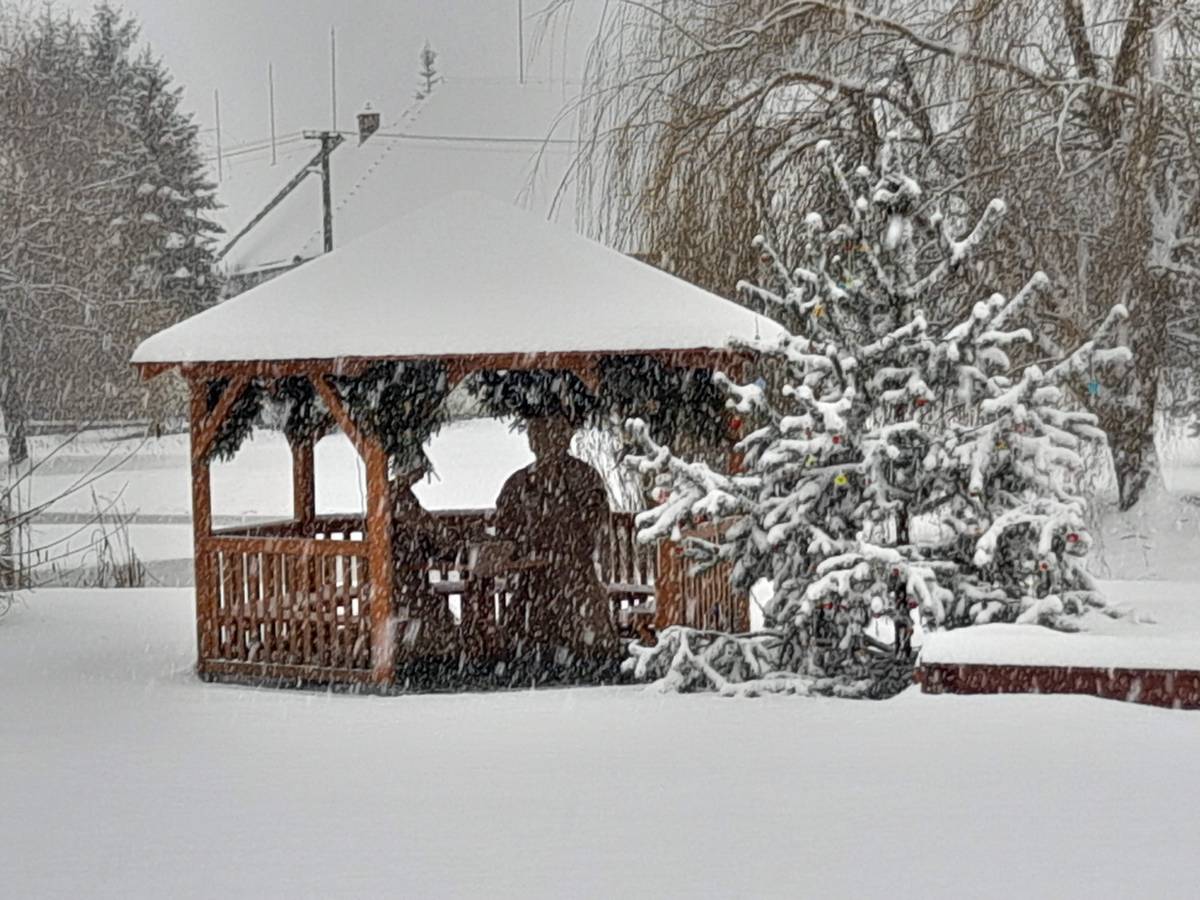 Příjemné prožití vánočních svátků a mnoho úspěchů v novém roce. Vám přeje obec Volevčice.