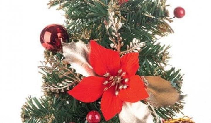 Oznamujeme občanom, že v dňoch 23.12.2024  - 3.1.2025 bude obecný úrad z dôvodu čerpania dovolenky zatvorený.   V prípade riešenia neodkladných záležitostí sme k dispozícii na tel, č. 0903158264, 0905477826.