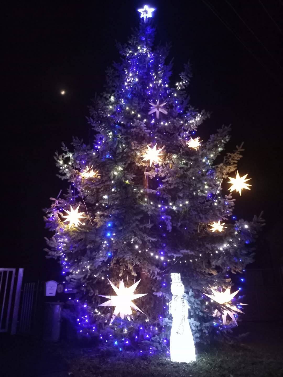 Veselé Vánoce a hodně štěstí, lásky a zdraví v novém roce Vám přeje zastupitelstvo obce Borovy. 🎄✨