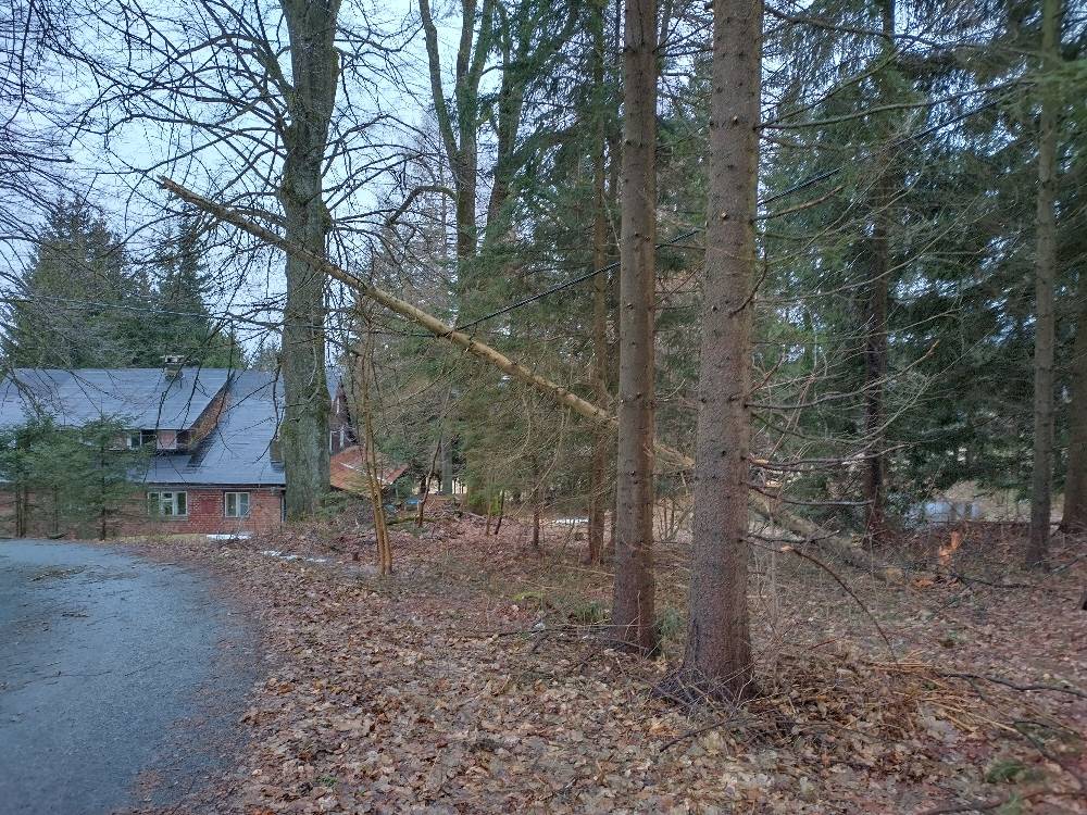 Primárně zkoušíme, jestli si soukromý strom ležící na elektrickém drátě neshodí na zem údržba rozvodné sítě