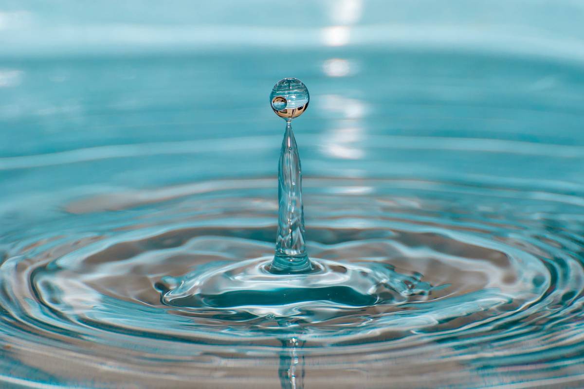 Z důvodu odstraňování následků havárie - vytopení prostor DDM, budou všechny kroužky, které probíhají v těchto prostorech od 6. 1. 2025 do odvolání zrušeny. Zápisné za leden bude automaticky převedeno do druhého pololetí.  Výjimku tvoří kroužek "KLUB KAMARÁD", který bude probíhat ve stejném režimu v prostorech ZŠ Rychvald, podrobnosti budou zákonným zástupcům sděleny prostřednictvím DDM nejpozději 6. 1. 2025.  Třída ZŠ, která zde byla umístěna po dobu přístavby ZŠ, bude rovněž dočasně přesunuta do prostor ZŠ.  O obnovení činnosti Vás budeme informovat.  Děkujeme za pochopení.