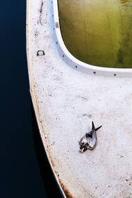 O životě a smrti (Benátky, květen 2024)