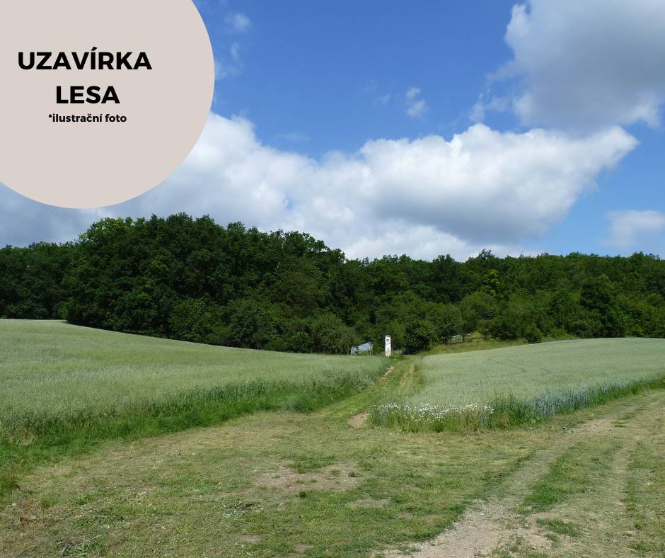 Od pondělí 13.1.2025 bude platit zákaz vstupu do lesa v oblasti Zlobice, která zahrnuje přírodní památku Zlobice.   Zákaz se vztahuje na oblíbenou trasu vedoucí z Kuřimi do Malhostovic konkrétně po cyklostezce č. 5197.   Důvodem zákazu je probíhající těžba dřeva, která je nezbytná pro údržbu lesního porostu. Prosíme všechny o respektování tohoto opatření pro zajištění bezpečnosti.   Děkujeme za pochopení!