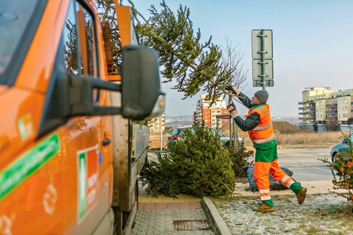Pokud jste se ještě nezbavili Vašeho vánočního stromu, nabízíme Vám odvoz. V pondělí budou naši pracovníci projíždět obcí a sbírat Vámi nachystané Vánoční stromky. Pokud tuto službu nevyužijete, prosím nevhazujte je do kontejneru na bioodpad a zavezte ho ke sběrnému dvoru, uložte vedle kontejneru naproti brány, my z nich vyrobíme štěpku.
