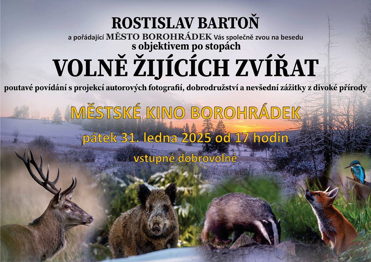 Město Borohrádek a Rostislav Bartoň zvou na besedu s objektivem po stopách volně žijících zvířat. Beseda se uskuteční v městském kině v sobotu 31. ledna 2025 od 17 hodin.