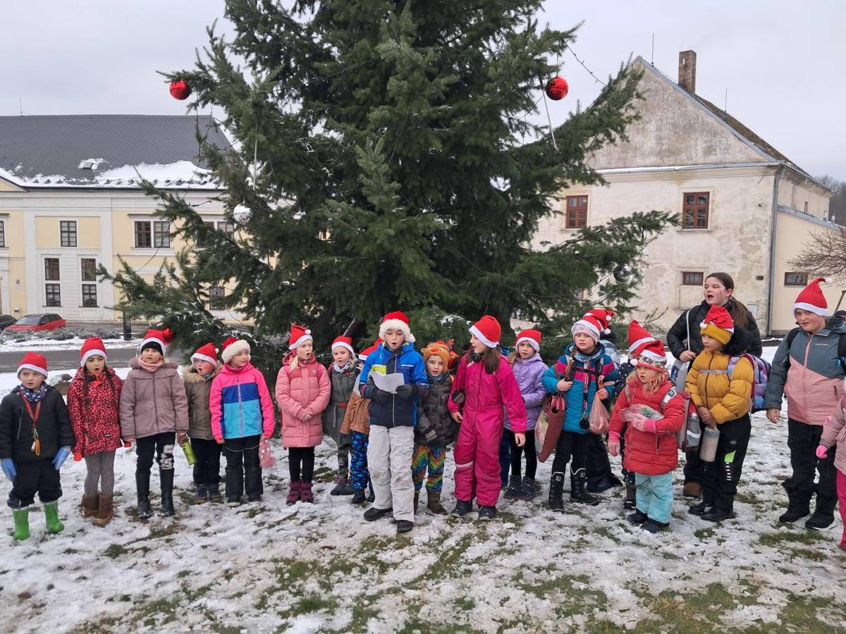 Povídali jsme si o vánočních zvycích a tradicích, vyzkoušeli jsme si pouštění lodiček, krájení jablíček, pochutnávali jsme si na dobrotách, zazpívali jsme si koledy a nakonec přišel i Ježíšek.