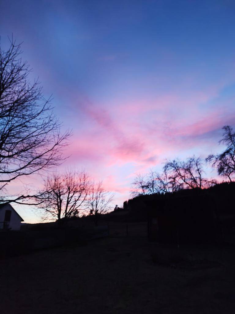 Všechno možné z obce Žichovice.