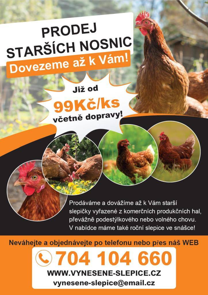 Informujeme chovatele v obci o možnosti objednat si kvalitní starší slepice s dovozem „až do kurníku“. Tuto službu velmi vítají především starší občané, pro které je obtížné pro slepice někam jezdit a čekat ve frontách, ale i řada dalších chovatelů, kterým tento servis šetří čas i starosti se sháně