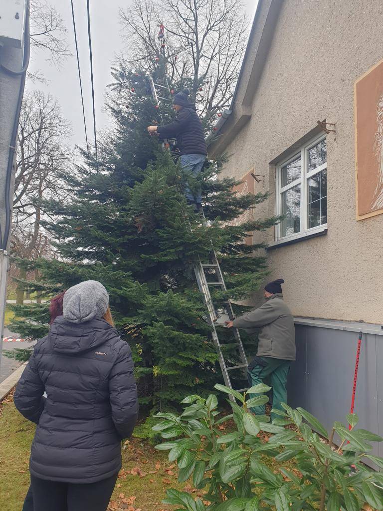 Jak jsme zdobili vánoční strom prosinec 2024
