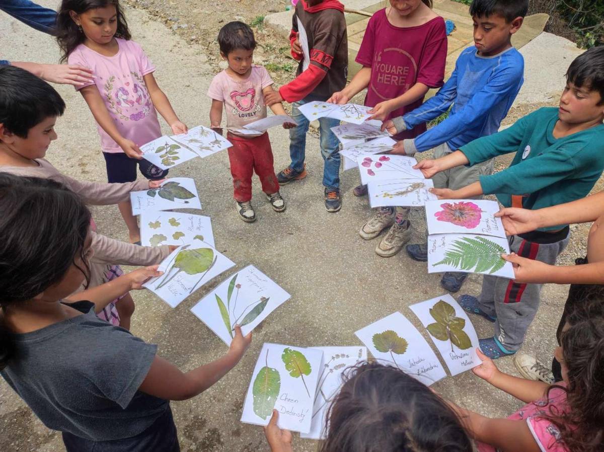 Asistent mládeže vzal deti do prírody a spoločne zbierali rastliny do herbára, ktoré spoločne dali lisovať a sušiť. Deti spoznávali rastliny a utužili si vzťah km prírode. Neskôr už vylisovaný herbár skompletizovali a rastliny pomenovali.