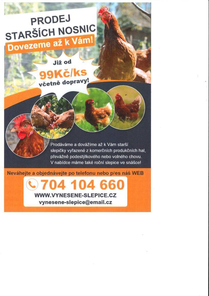 Prodej slepic