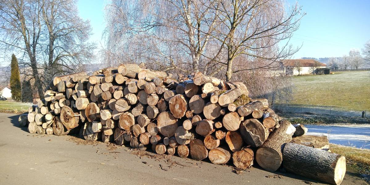 Obec Borek nabízí občanům obce prodej palivového dřeva z obecního lesa. Místo uložení na parkovišti u bývalé školy v Ostružně. Mix palivového dřeva v celkovém množství cca 23 PRM (prostorových metrů). Cena je stanovena ve výši 400Kč/PRM. V případě zájmu volejte nebo pište na tel. číslo: 777 006 245 (p. Krátký, starosta) do 14.2.2025. Palivové dřevo bude rozděleno přímou úměrou mezi všechny zájemce. Prosím, aby se ozvali především občané, kteří nemají možnost samovýroby dřeva.