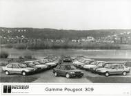Nabídka Peugeotu 309 postupně bobtnala a v dalších letech přijely i užitkové verze XA, model s automatem nebo turbodieselem.