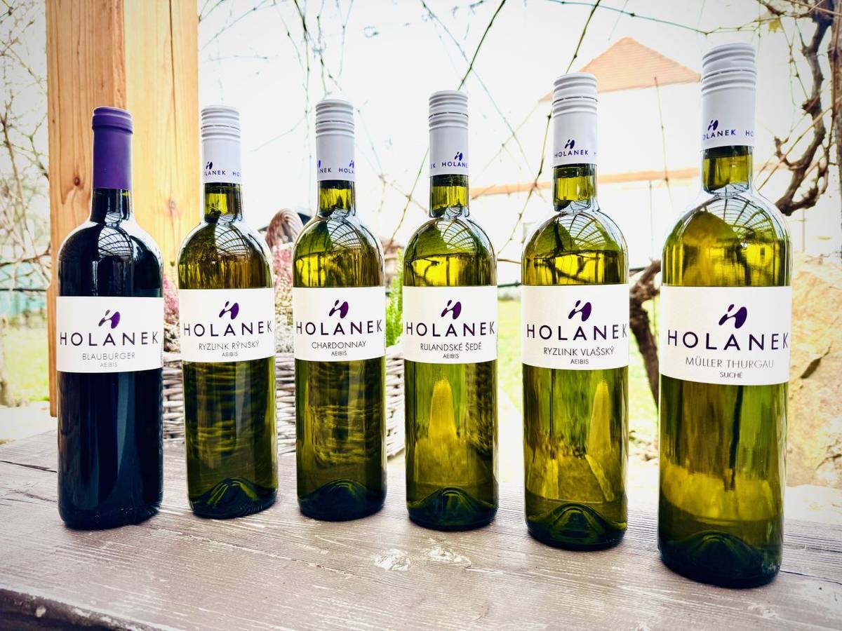 Vinařství Holánek přijede v pátek 7. února s pojízdnou vinotékou. Tento týden přiveze v akci polosladký Tramín červený za 170 Kč, suchý Ryzlink rýnský za 170 Kč, akční Valentýnské balíčky za 855 Kč a 950 Kč, akční balíček   Suchý únor za 795 Kč, vína sudová 80-90 kč/litr, vína lahvová