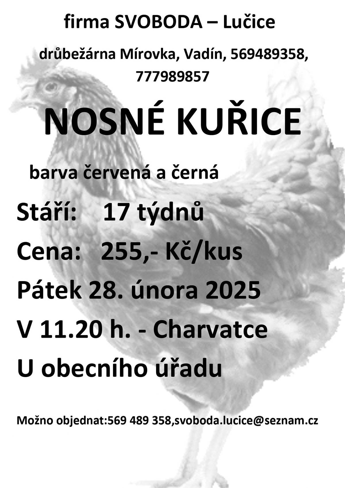 Firma Svoboda Lučice bude prodávat v pátek 28. února 2025 v 11.20 hodin u OÚ nosné kuřice, stáří 17 týdnů, cena 255,- Kč/kus    Objednání je možné na  tel. 569 489 358 nebo emailem svoboda.lucice@seznam.cz