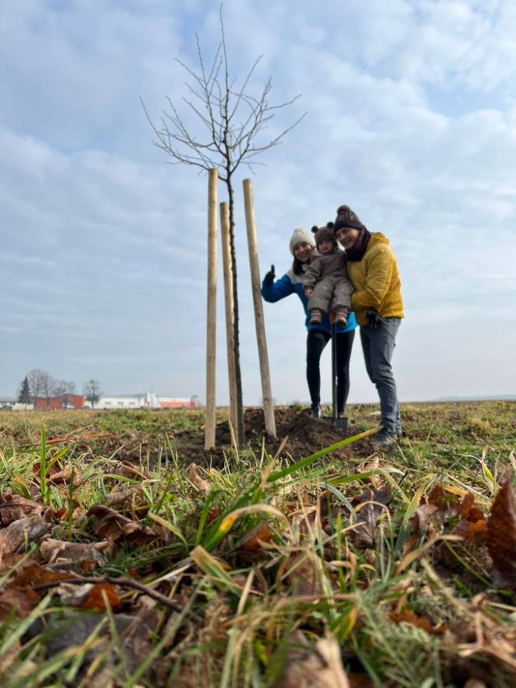 O druhém únorovém víkendu se sešly čtyři rodiny z naší obce, aby zasadily "strom naší rodiny". Navázali tak na krásnou akci z let 2014-2016, kdy svůj strom zasadilo cca 40 rodin. Další výsadba proběhla i na ul. Zámecká u bytového domu.