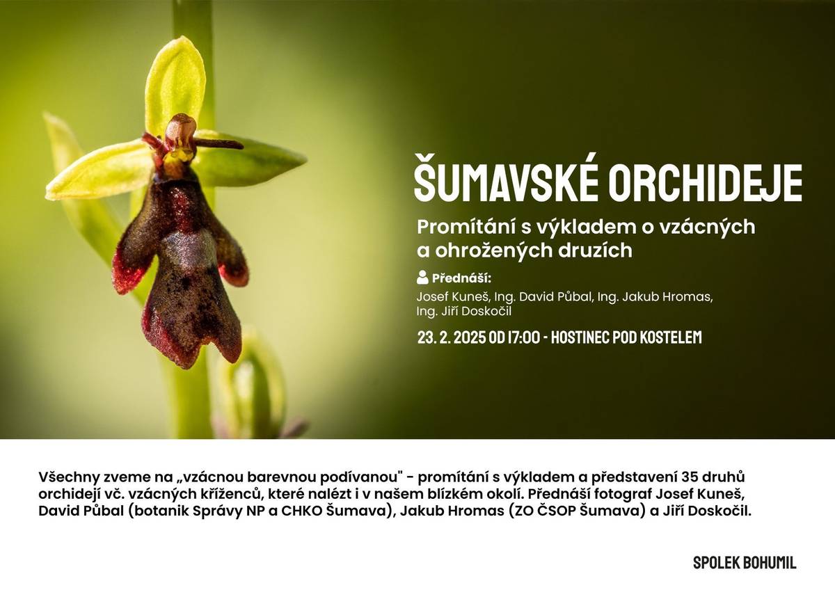 Šumavské orchideje