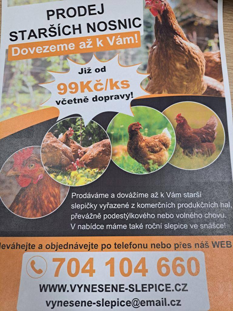 V příloze zveřejňujeme nabídku prodeje  starších nosnic- viz. leták