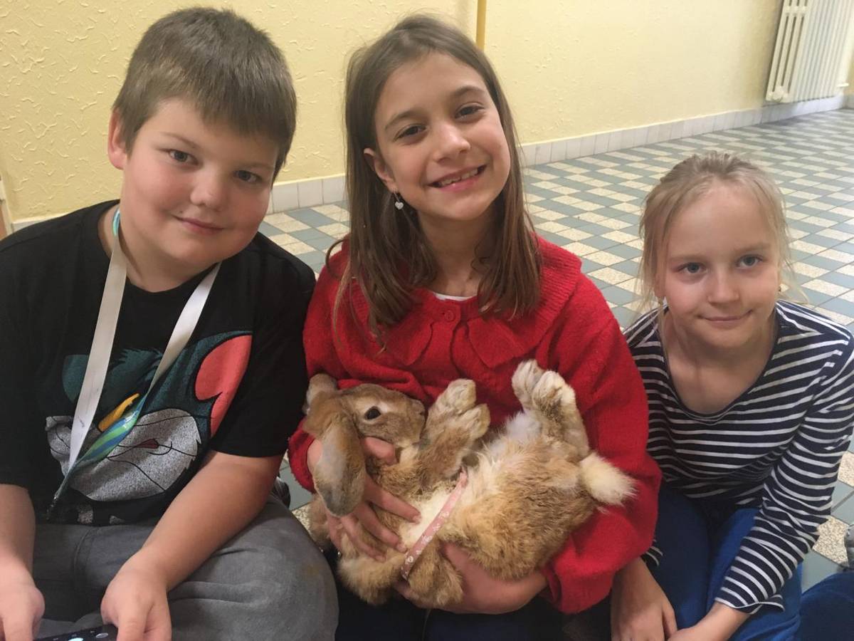 Naše zvířátka jsou mezi dětmi oblíbená.