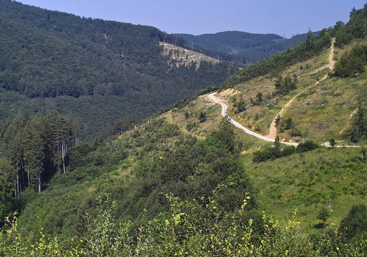 Valné zhromaždenie Pozemkového a lesného pasienkového spoločenstva Lednica na deň 23. 03. 2025 o 15.00 hod