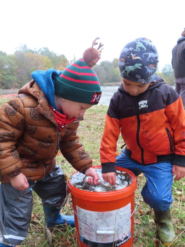 Cehničtí rybáři za velké pomoci dětí lovili obecní rybník Křídlo