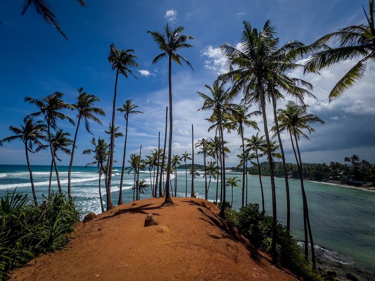 Knihovna městyse Malšice vás zve na cestovatelskou besedu SRÍ LANKA s oblíbeným dobrodruhem a autorem cestopisů PETREM NAZAROVEM   Galerie Františka Peterky 13.2. 2025 od 18.00 hodin   TROPICKÝ RÁJ SRÍ LANKA – vlídná a zelená perla Indického oceánu, vás okouzlí svou rozmanitostí a nabídne nekonečné množství zážitků. Země čajových plantáží, exotických pláží, divoké přírody a bohaté kultury. Přijďte se dozvědět více o této pestré destinaci, která spojuje tradiční životní styl s dechberoucí přírodou. Společně se vydáme na cestu za poznáním srílanské pohostinnosti a krás.