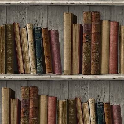 Dne 18. 2. bude knihovna UZAVŘENA.  Náhradní termín je 17. 2. v pondělí.