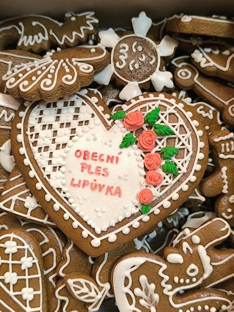 Pár fotek z Obecního plesu, konaného 31.1.2025 na Lipůvce