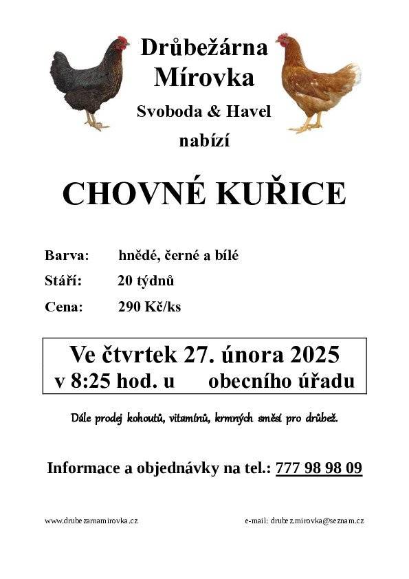 Drůbežárna Mírovka nabízí prodej chovných kuřic v obci - ve čtvrtek 27. února 2025 v 8:25 hod. u OÚ. Více v příloze