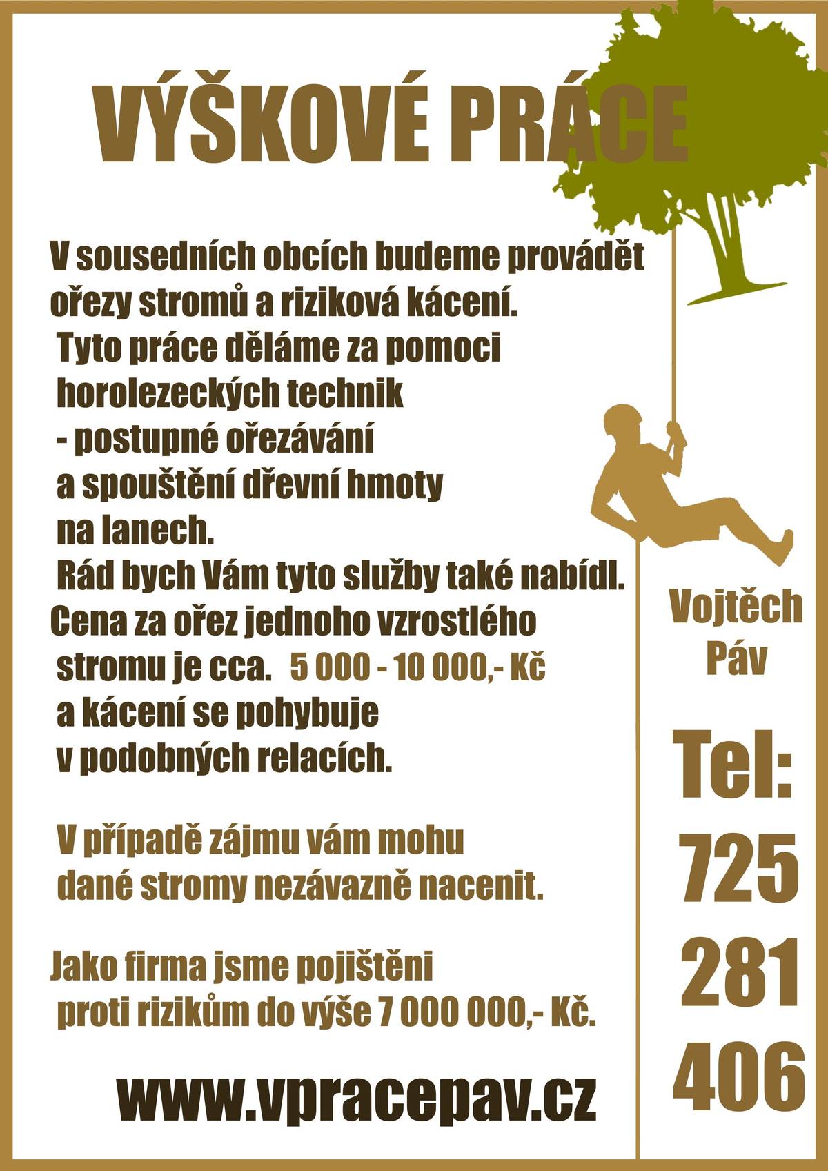 Nabídka rizikového kácení a ořezu stromů