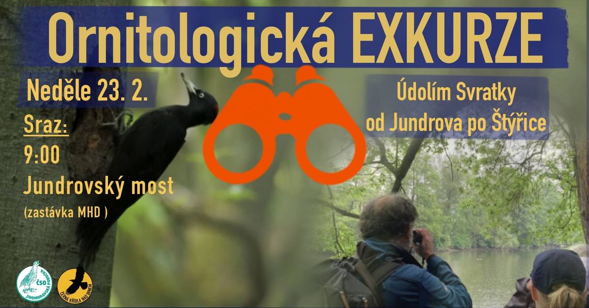 Zprostředkovaně vás zveme  na ornitologickou exkurzi údolím Svratky od Jundrova po Štýřice. Sraz na zastávce MHD Jundrovský most (ulice Veslařská) v 9:00 (dosažitelné např. autobusovými linkami č. 84 nebo 44). Trasa povede podél řeky Svratky městskými částmi Jundrov, Pisárky až do Štýřic. Po cestě nás čekají břehové říční porosty a zahrádky. V oblasti Riviéry projdeme lesy ve kterých je plánovaná výstavba lanovky  a na závěr vykoukneme na Brno na Mahenově stráni. Budeme si povídat o brněnské přírodě, pozorovat ptáky a možná i náznaky probouzejícího se jara. Exkurze bude zakončena v Kamenné kolonii. S sebou vhodnou terénní obuv, oblečení do případného nečasu a dalekohled. Průvodcem bude Jan Sychra, dlouhodobý ornitolog a znalec tamní přírody   Pořádá ČOS JIHOMORAVSKÁ POBOČKA.   Milan Hrdlička 1. místostarosta