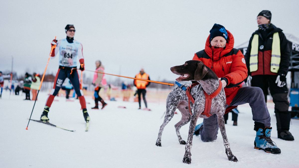 Závodník má na startu povolený takový počet pomocníků, s kolika startuje psy.