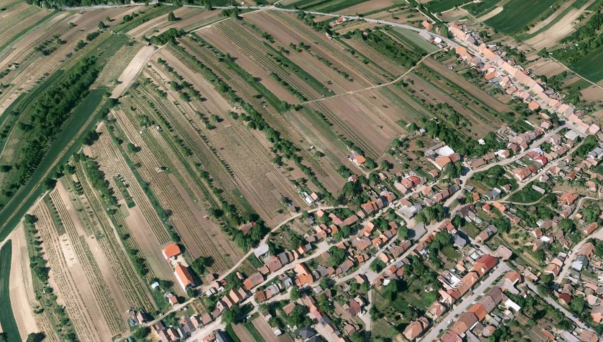 Nabízí se k pronájmu vinohrad o velikosti 220 hlav v lokalitě Přední hora. Bližší informace na tel.: 723 649 037.