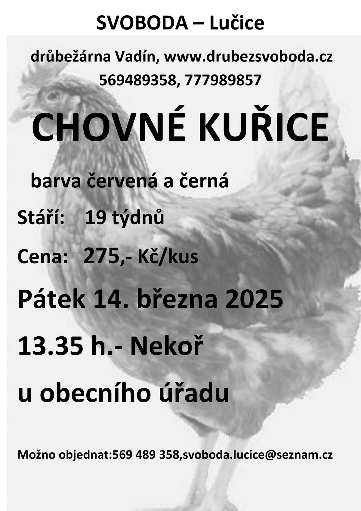 Drůbežárna Vadín nabízí k prodeji chovné kuřice. Prodej bude probíhat dne 14.03.2025 před obecním úřadem od 13:35 hodin. Barva kuřic: černá a červená Stáří: 19 týdnů Cena: 275,- Kč/kus Kontakt: 777 989 857