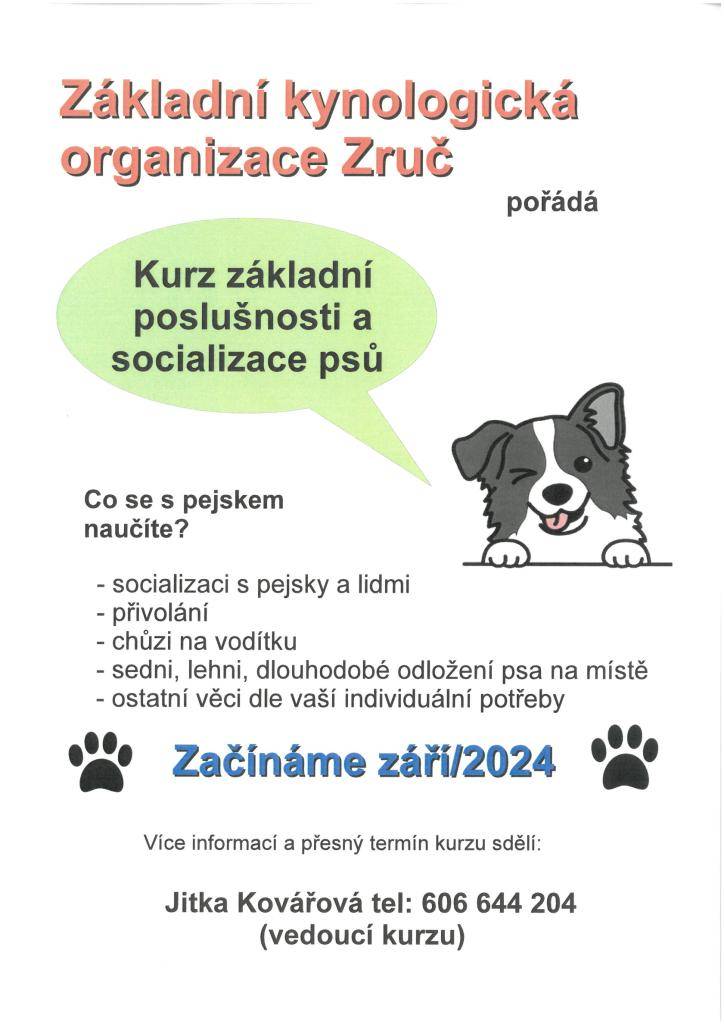 Kurz základní poslušnosti a socializace psů