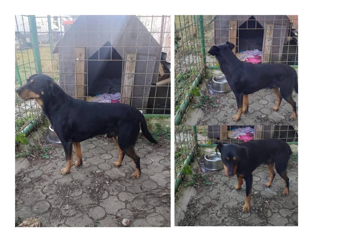 Pro bližší informace se obraťte na pana starostu, tel. 602 800 563.