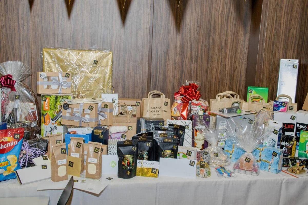 Dne 22. února 2025 jste si mohli zatančit na obecním plese.