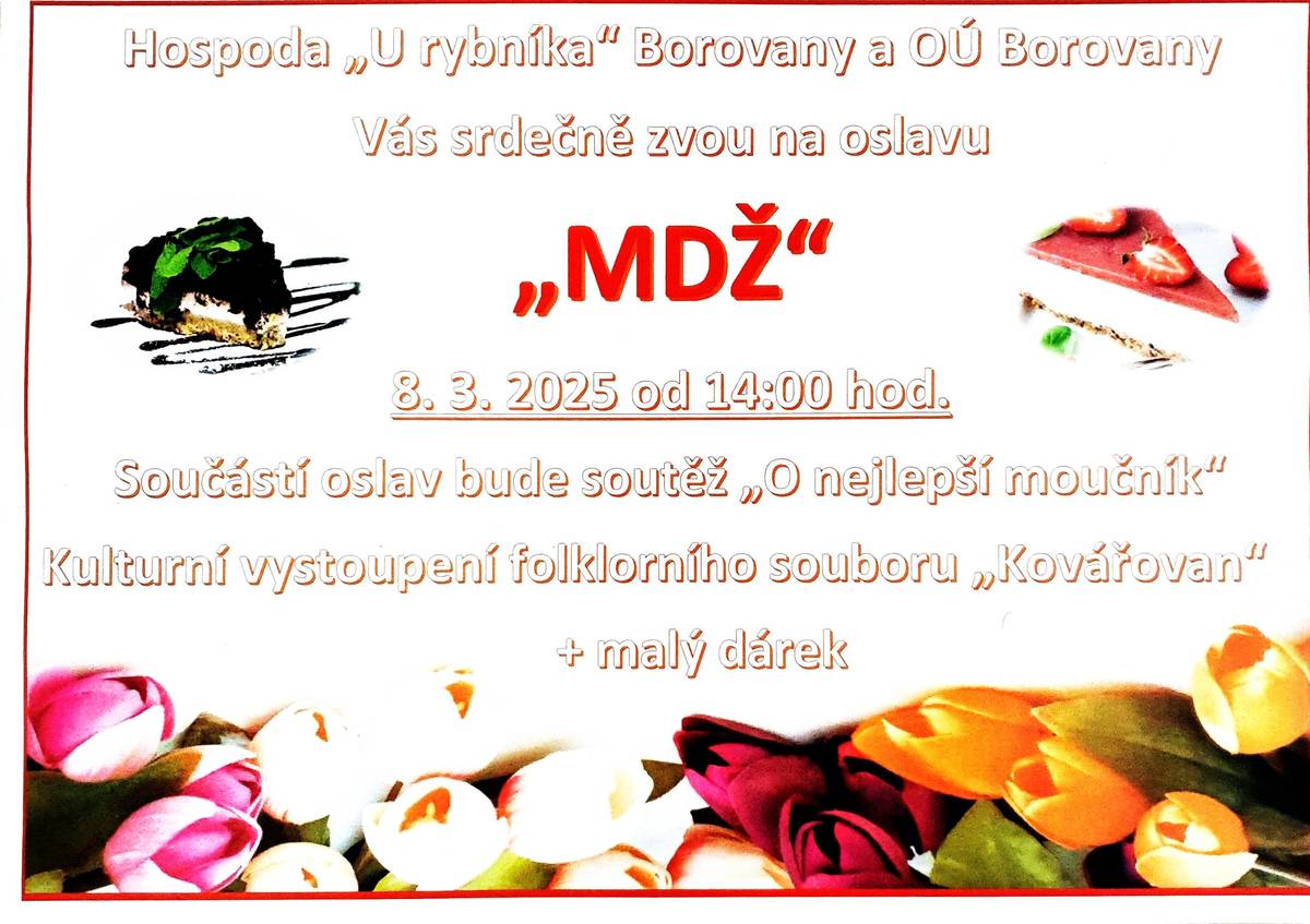 MDŽ V KD BOROVANY